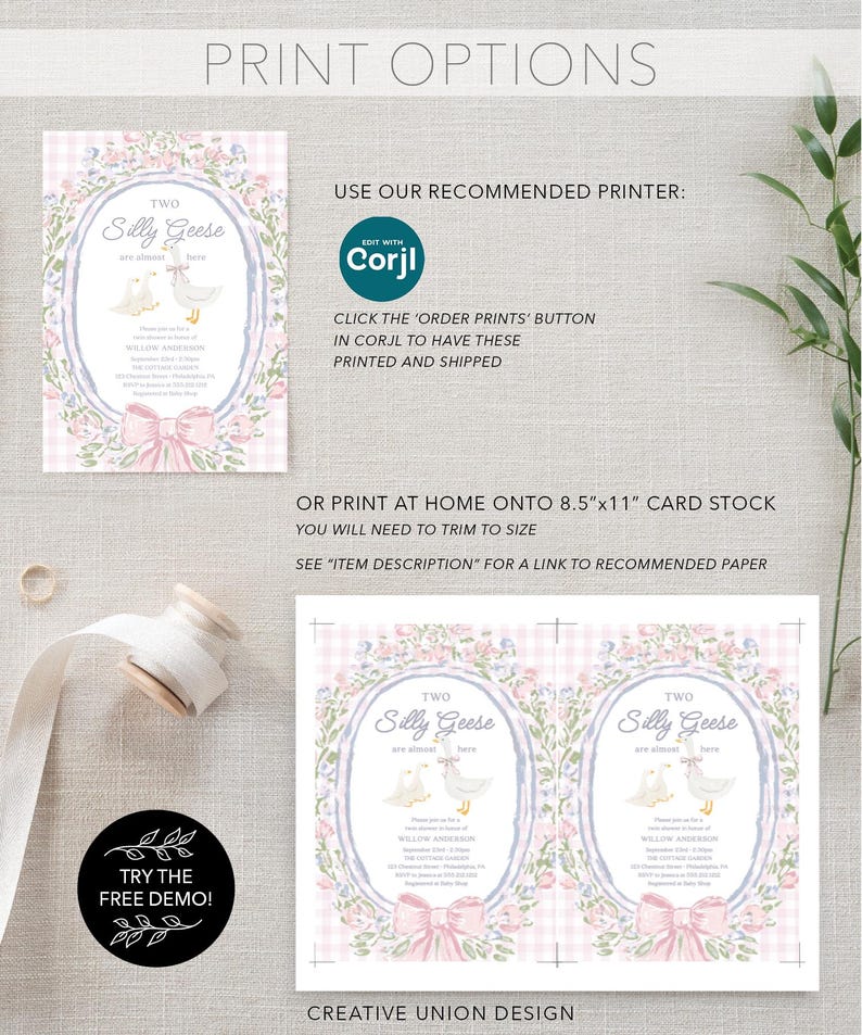 Cottagecore Silly Goose Twin Baby Shower Invitation Editable Template ...