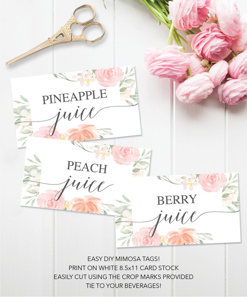 Mimosa Bar Juice Tags Hanging Juice Tags Mimosa Bar Tags Editable Tag Bridal Shower Decor Printable Tag Pastel Blush image 4