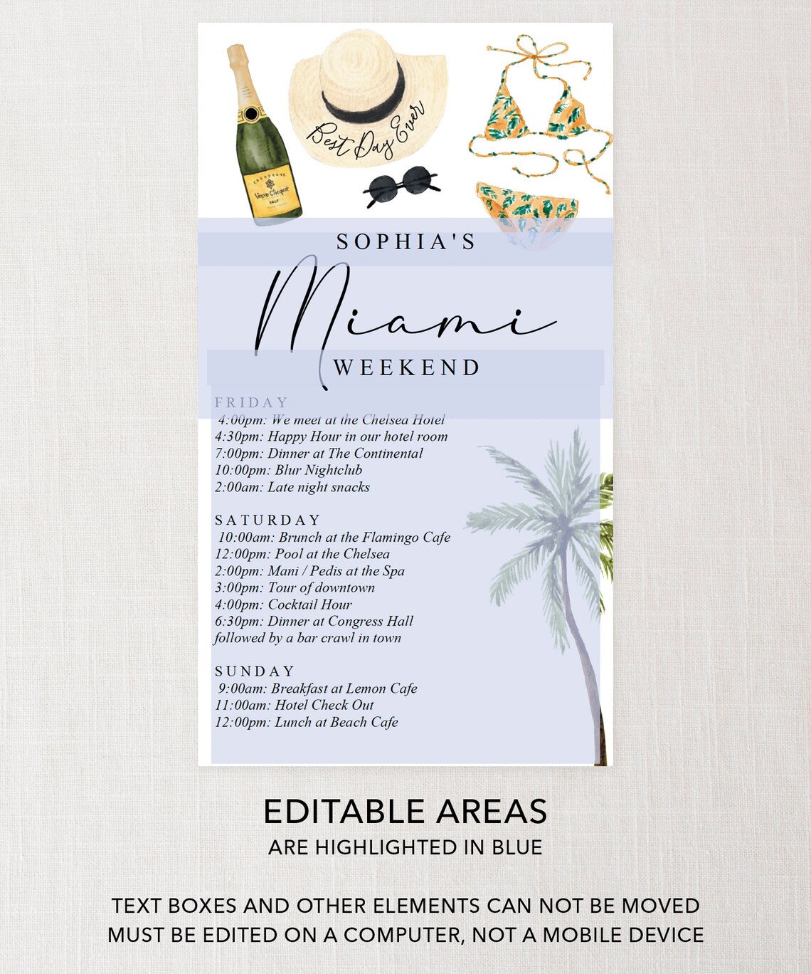 Miami Bachelorette Itinerary Template Digital Schedule Etsy
