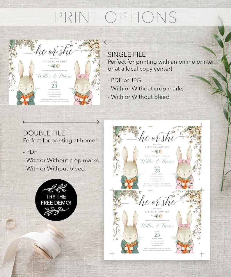 Peut inclure: Invitation de r&eacute;v&eacute;lation de sexe imprimable avec une illustration aquarelle de deux lapins, l'un en bleu et l'autre en rose, tenant des carottes. Le texte indique "He or She? Little Bunny Be? Willow & Mason April 23".