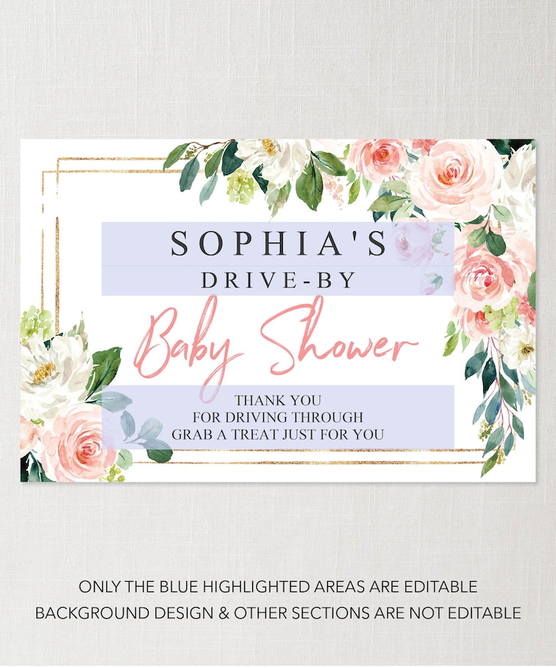 Printable Drive by Baby Shower Sign Girl Baby Shower Yard Etsy