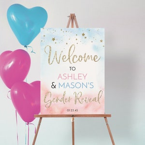 Twinkle Twinkle Little Star Gender Reveal Welcome Sign Template, Welcome Baby Shower, Pink Blue Boy Girl, Baby Shower Sign, Download