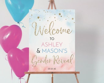 Twinkle Twinkle Little Star Gender Reveal Welcome Sign Template, Welcome Baby Shower, Pink Blue Boy Girl, Baby Shower Sign, Download