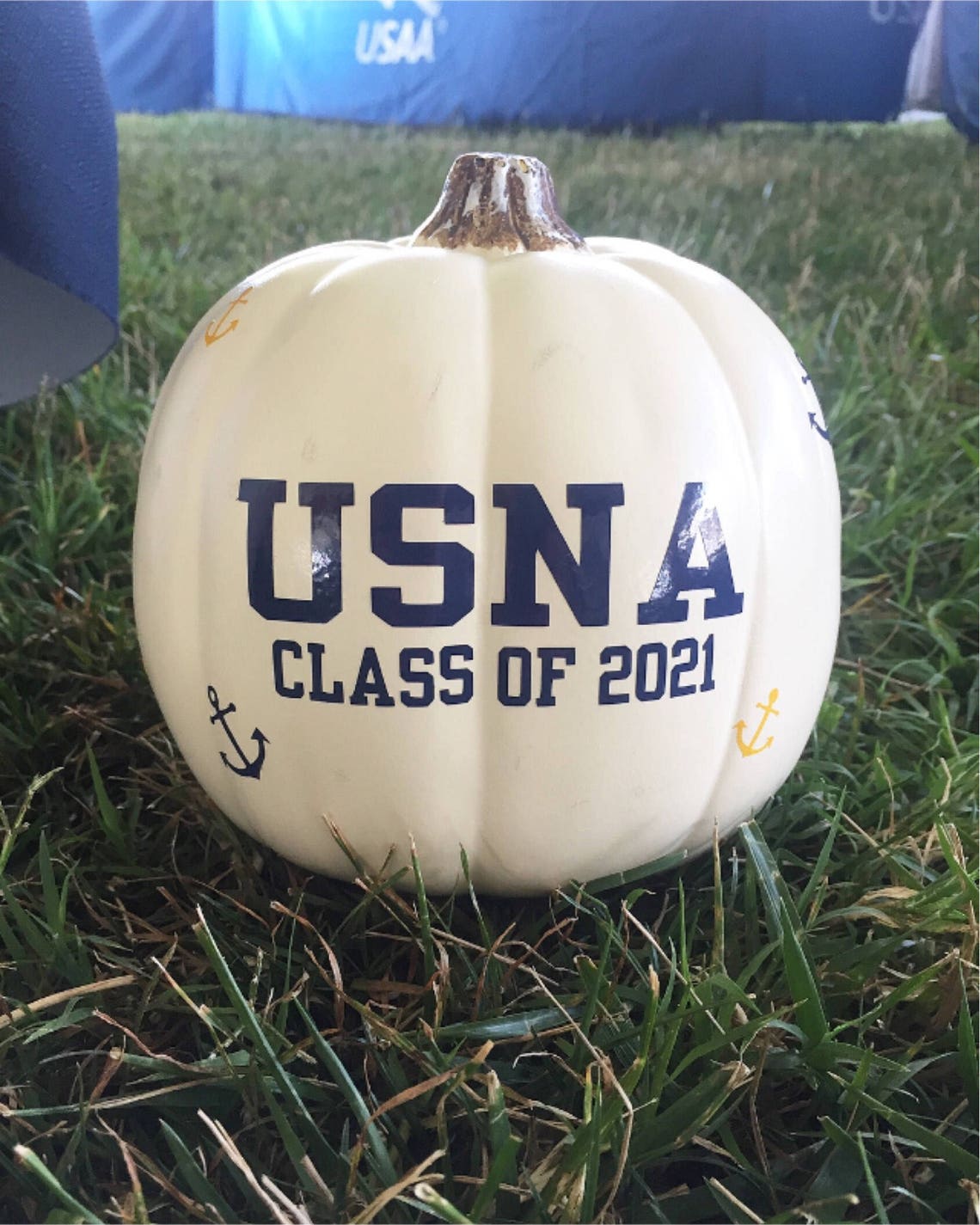 Class of Navy Decals Halloween USNA Spirit NAVY Family - Etsy