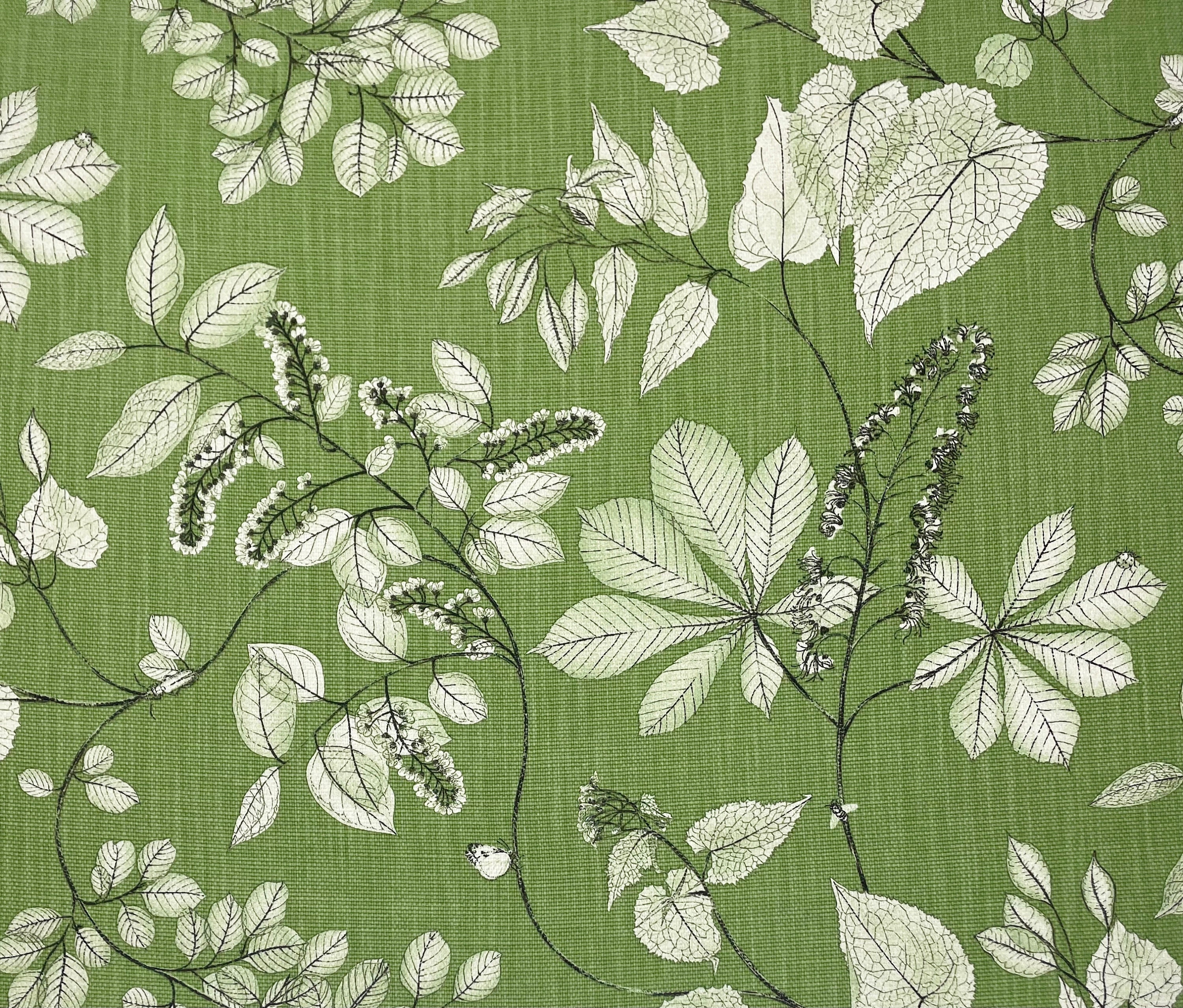 Ballard Designs BECCA GREEN Ivory Gray Butterfly Leaf Vine Craft Pillow Cushion Upholstery Bedding Drapery Fabric By The Yard 54"Wide