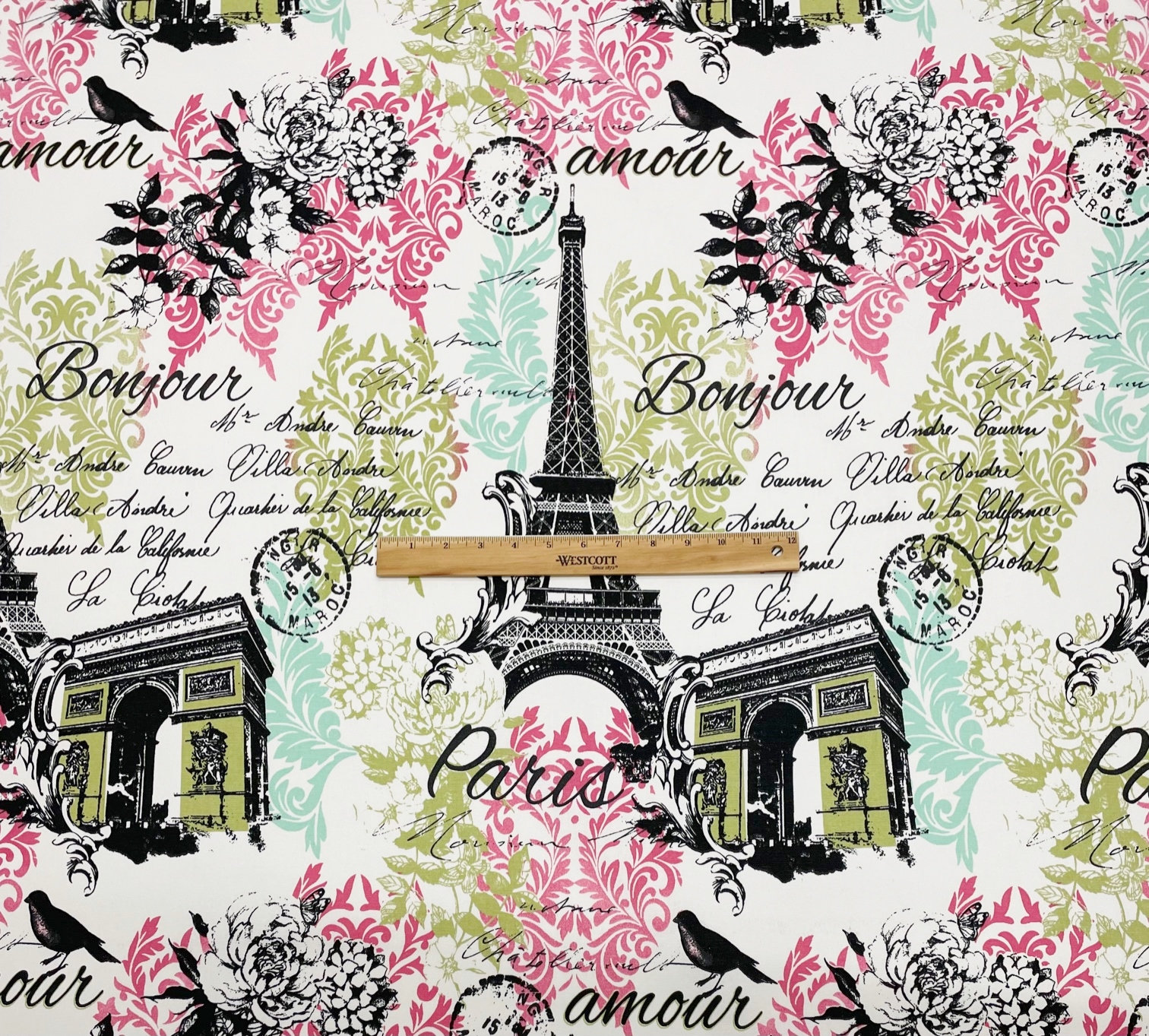 欲しいの France Paris Script Pink Green Eiffel Tower Arc De Triumph 小物入れ