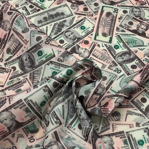 Pode incluir: Um tecido com um padr&atilde;o repetido de notas de d&oacute;lar americano em v&aacute;rias denomina&ccedil;&otilde;es. As notas s&atilde;o impressas em tons de verde, preto e branco sobre um fundo rosa.