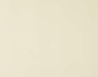 Puede incluir: Un fondo liso de color blanco roto con una superficie ligeramente texturizada.