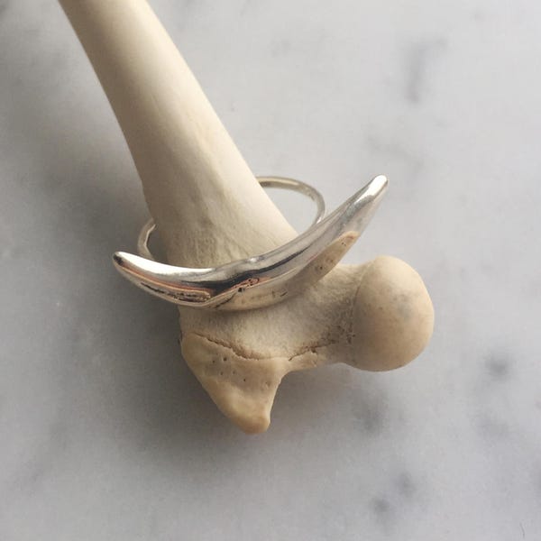 Fox fang ring, sterling silver, stackable, bone jewelry, kaya tinsman, bone jewelry, handmade, kaya tinsman, Little Gypsy Bones