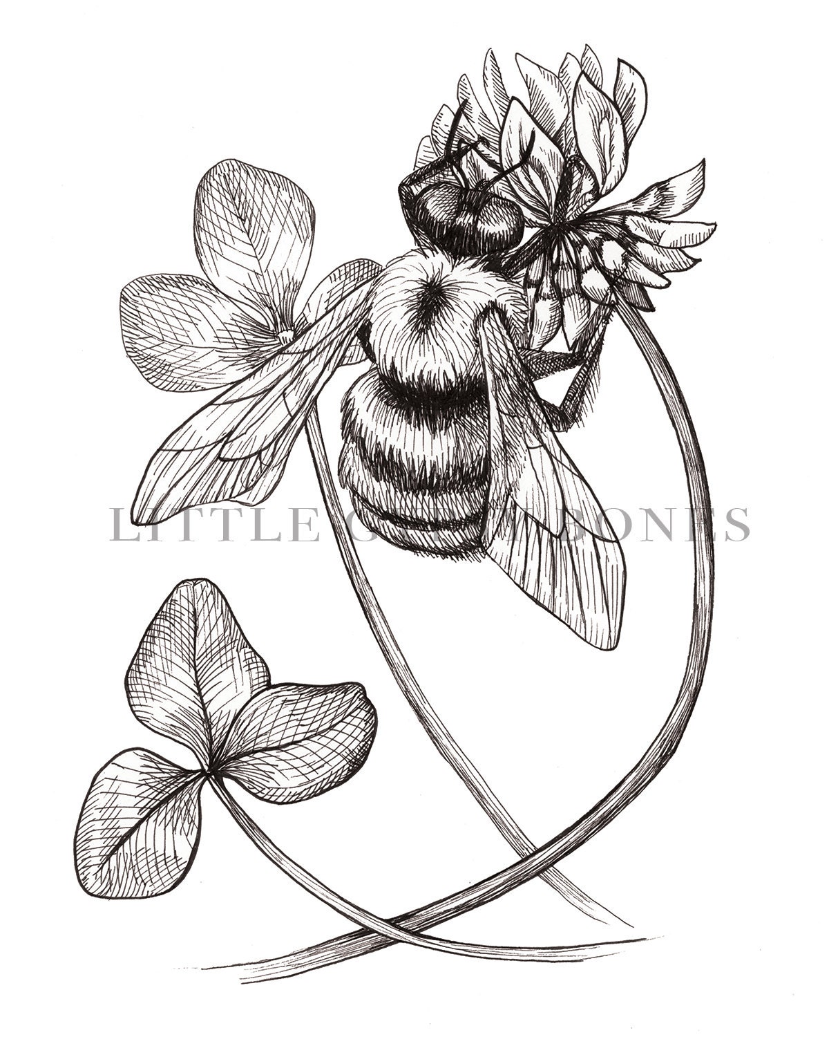 Bee and Clover 8x10 digital print bumblebee artwork pen and | Etsy