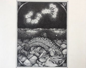 Scorpio limited edition print, Giclee print, Zodiac artwork, Astrology sign, Pen and ink, Constellation, Stars, Archival