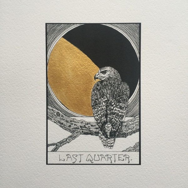 Moon Phase print, last quarter moon, red tailed hawk print, gold leaf, Kaya Tinsman, half moon, moon drawing, bird of prey, illustration