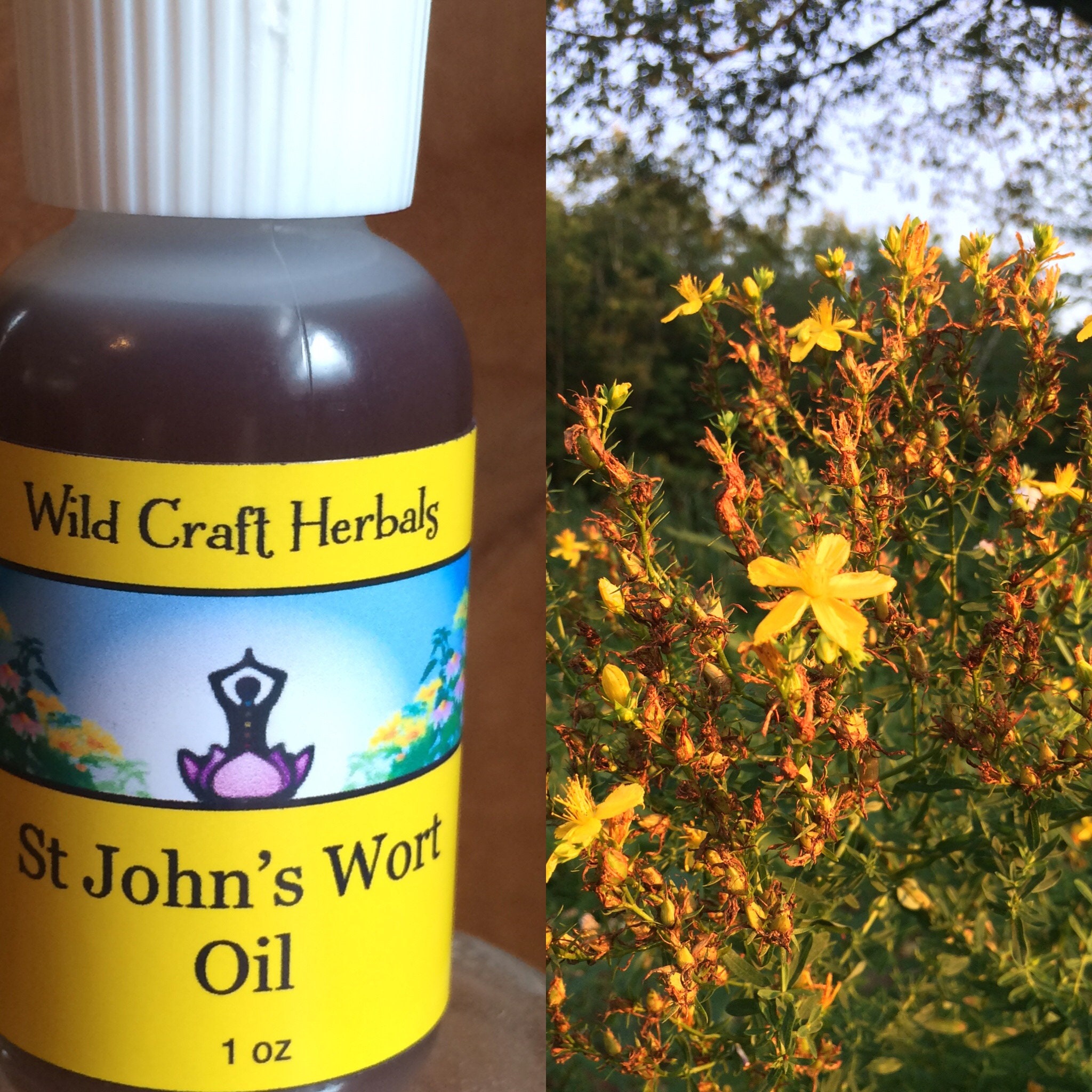 St John's Wort Oil - Etsy