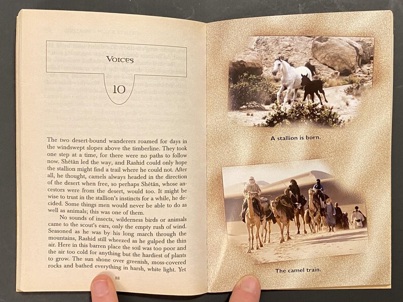 Pu&ograve; includere: Un libro con una copertina marrone e un'immagine di un cavallo bianco e un puledro nero sulla copertina. Il libro &egrave; aperto a una pagina con il titolo "Voices" e il numero 10. La pagina contiene anche del testo su un viaggio nel deserto e un'immagine di un convoglio di cammelli.