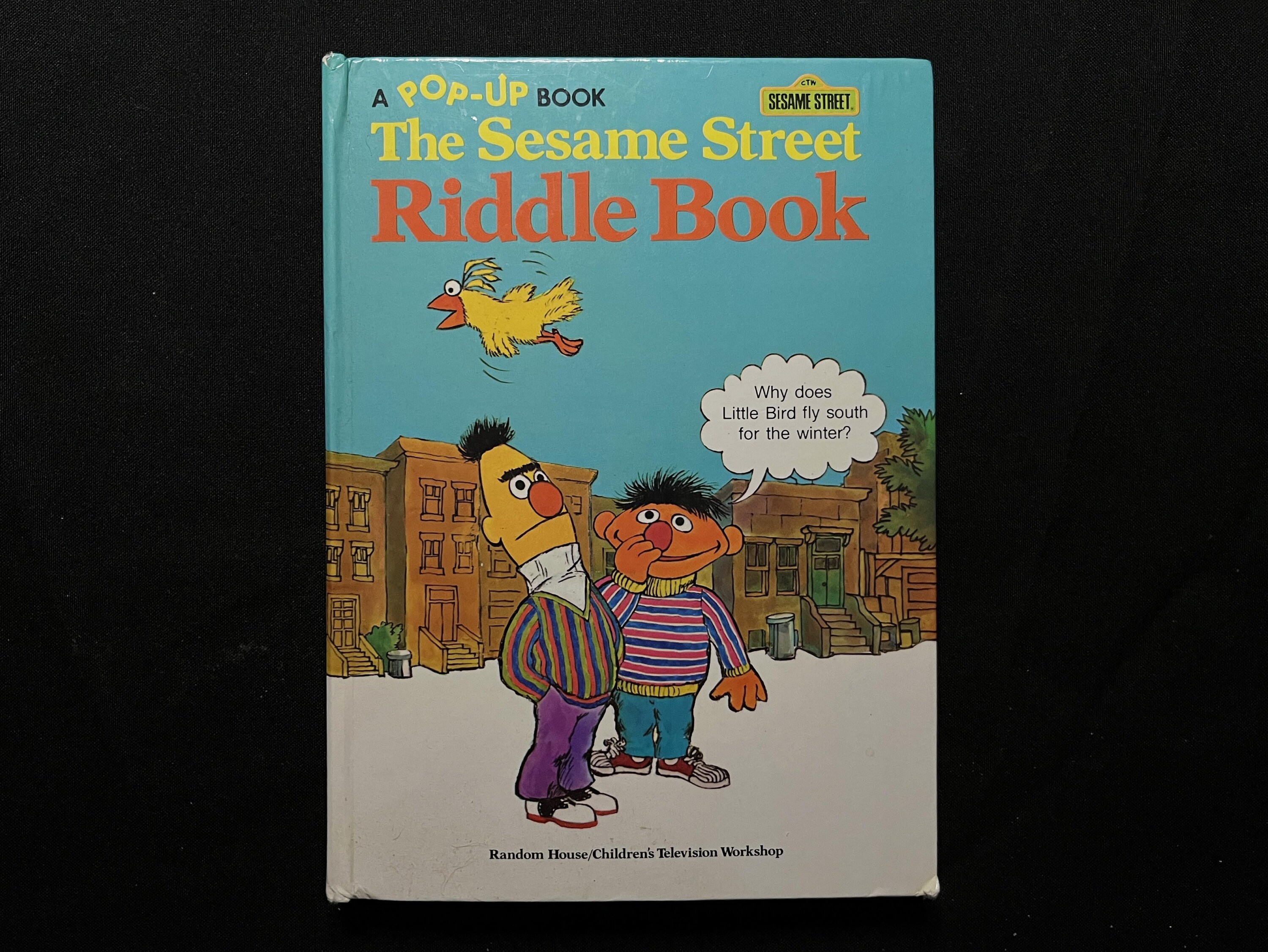 The Sesame Street Riddle Book Pop-up Interactive Lift-the-flap - Etsy