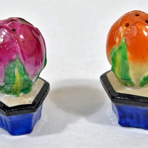 Vintage Made in Japan Salt and Pepper Shakers - Flowers in Pot