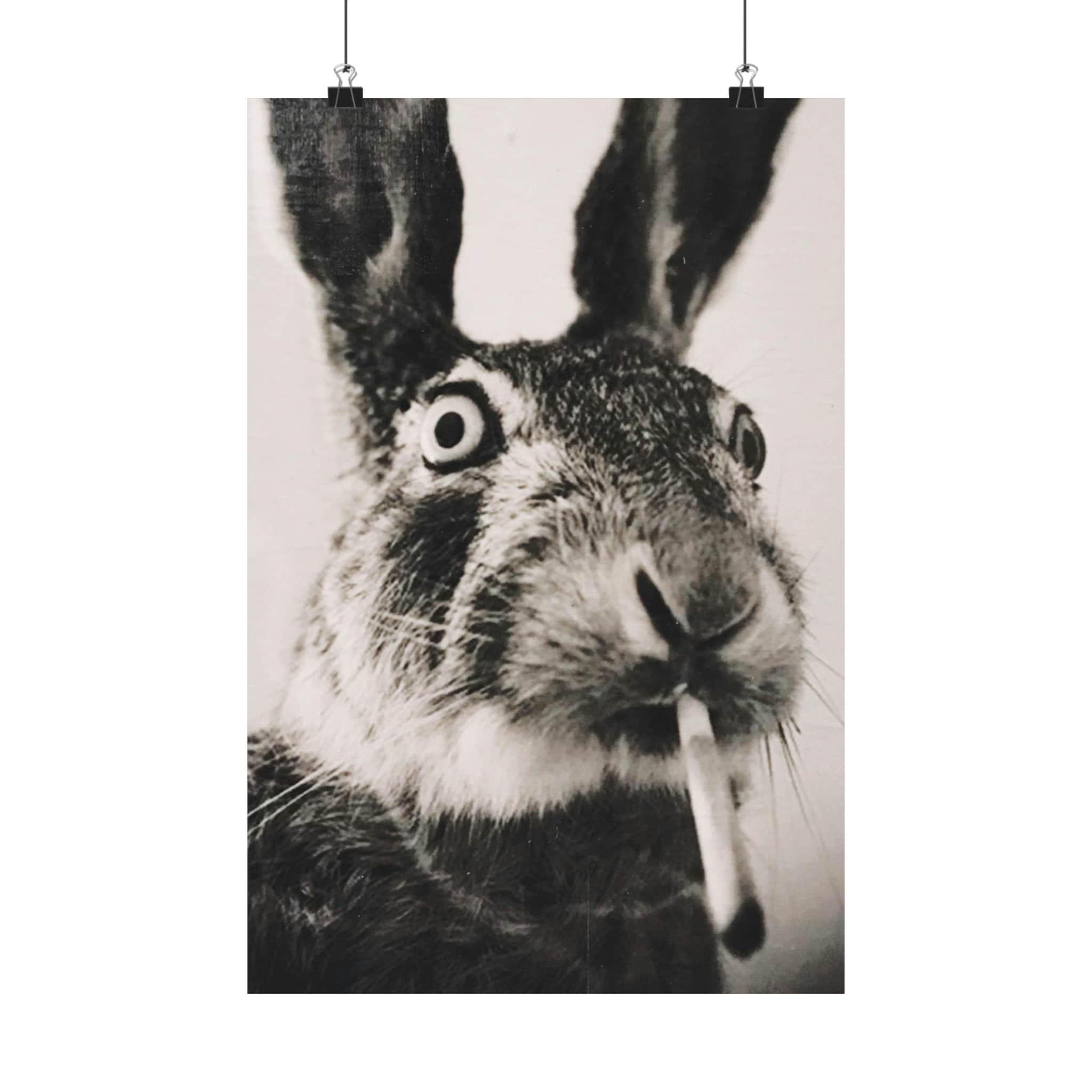 Goose Greenwood fashion Village White Rabbit Foil