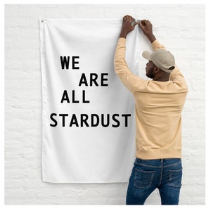 We are all Stardust Minimalist Pennant Wall Hanging Vertical  Flag