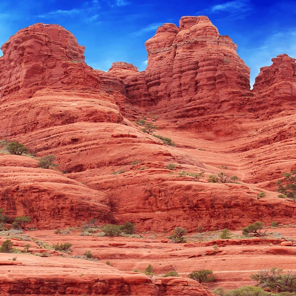 Desert Terrarium Background Etsy