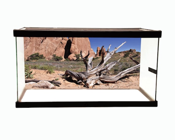 10 gallon reptile aquarium 2025