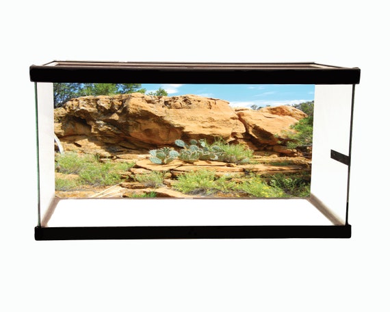 Wüsten-Terrarium Hintergrund – 180x45 Cm, Vinyl, Realistischer Wüsten-Look Für Reptilien & Aquarien
