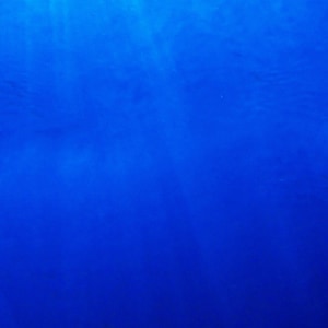 20 Gallon Blue Aquarium Background Petbackdrops - Reusable Glass Tank Background