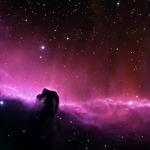 Horse Nebula Galaxy Terrarium Background - Waterproof Vinyl