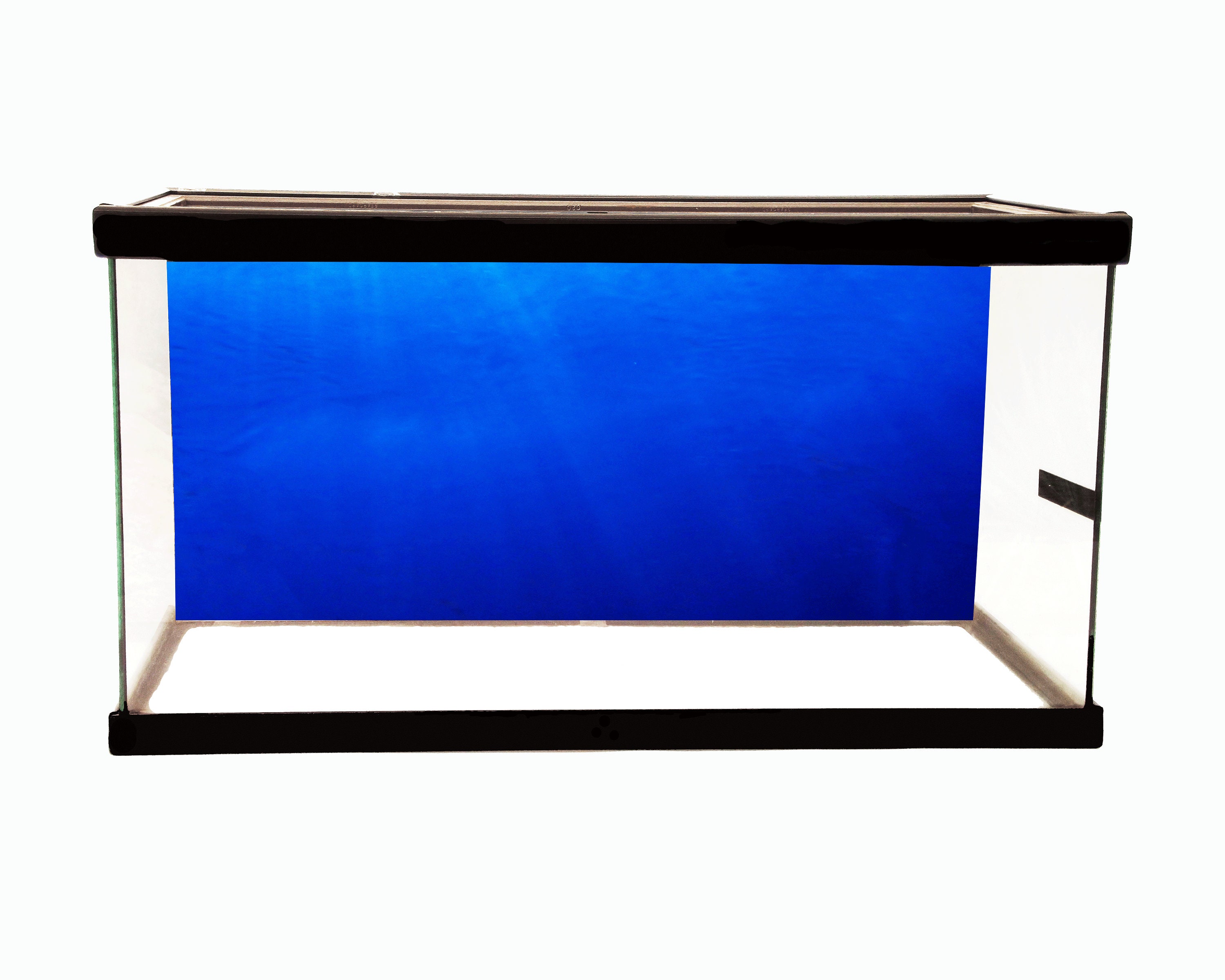 30 Gallon Black Aquarium Background Petbackdrops - Reusable Aquarium  Background