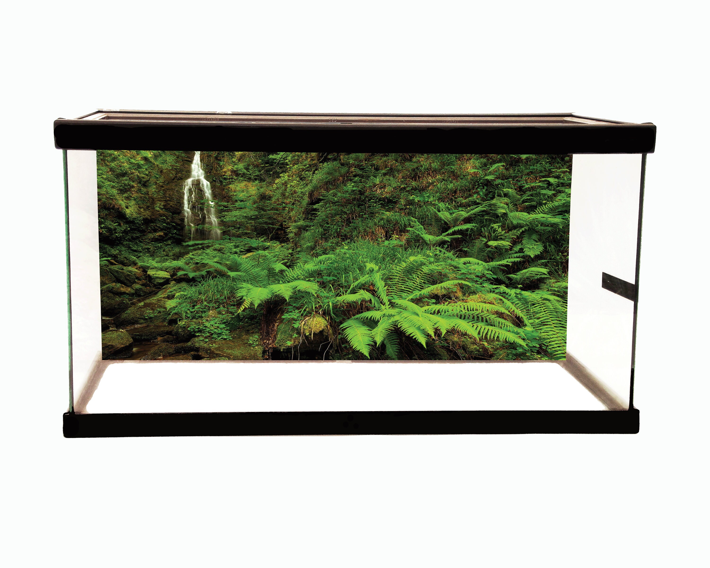 40 Gallon Aquarium for sale compared to CraigsList Only 2 left at 75