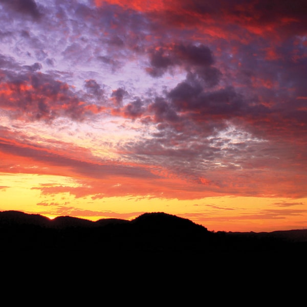 Desert Terrarium Background Etsy