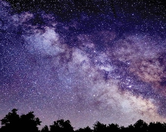 Starry Sky Background - Petbackdrops - Terrarium Background - Reusable