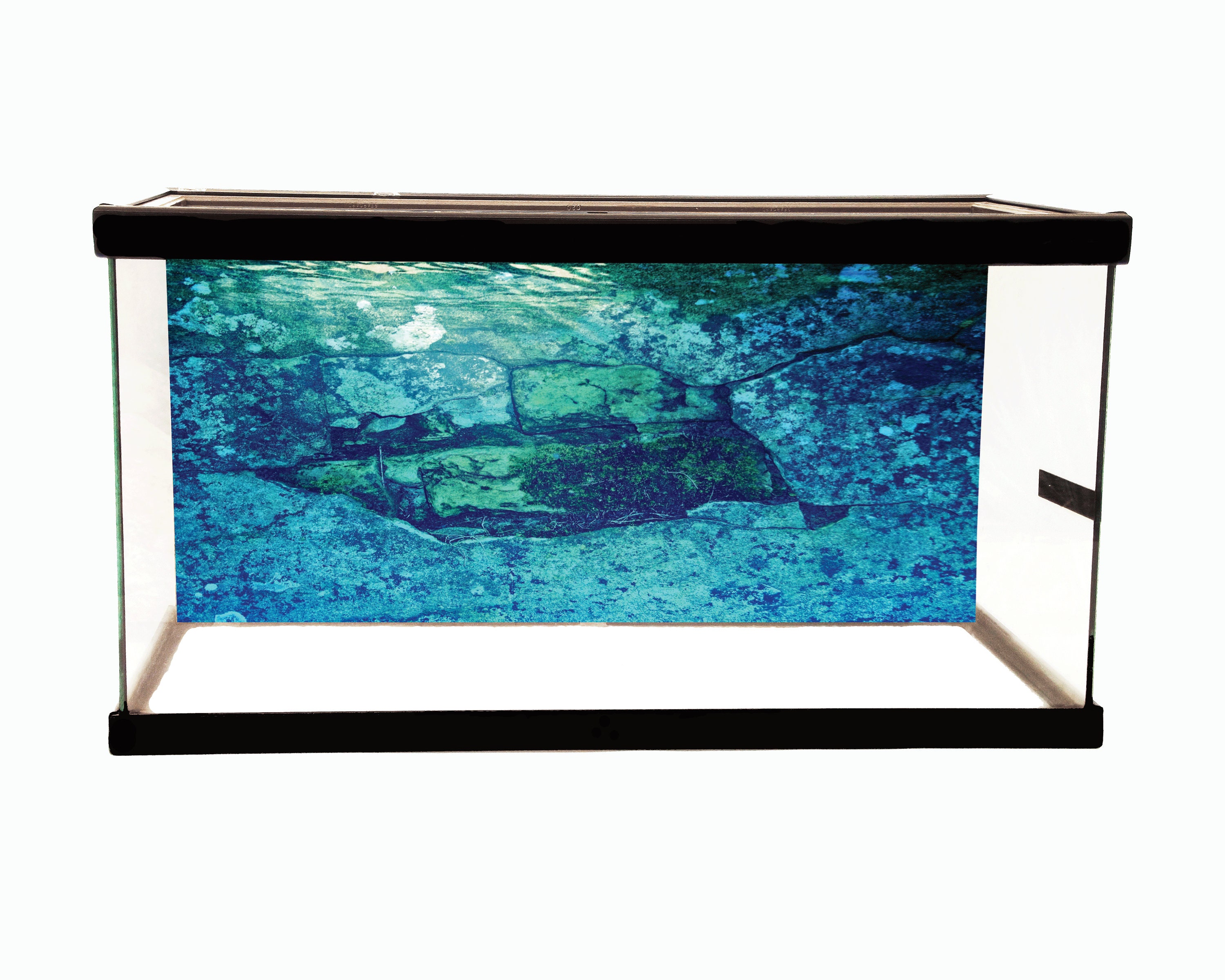40 Gallon Long Blue Stone Wall Aquarium Background Petbackdrops