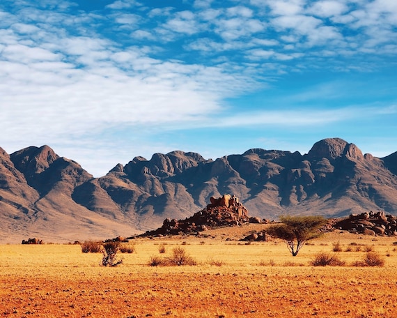 40 Gallon Desert Landscape Tank Background by Petbackdrops - Etsy