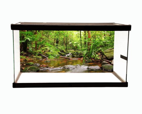 40 gallon glass clearance terrarium