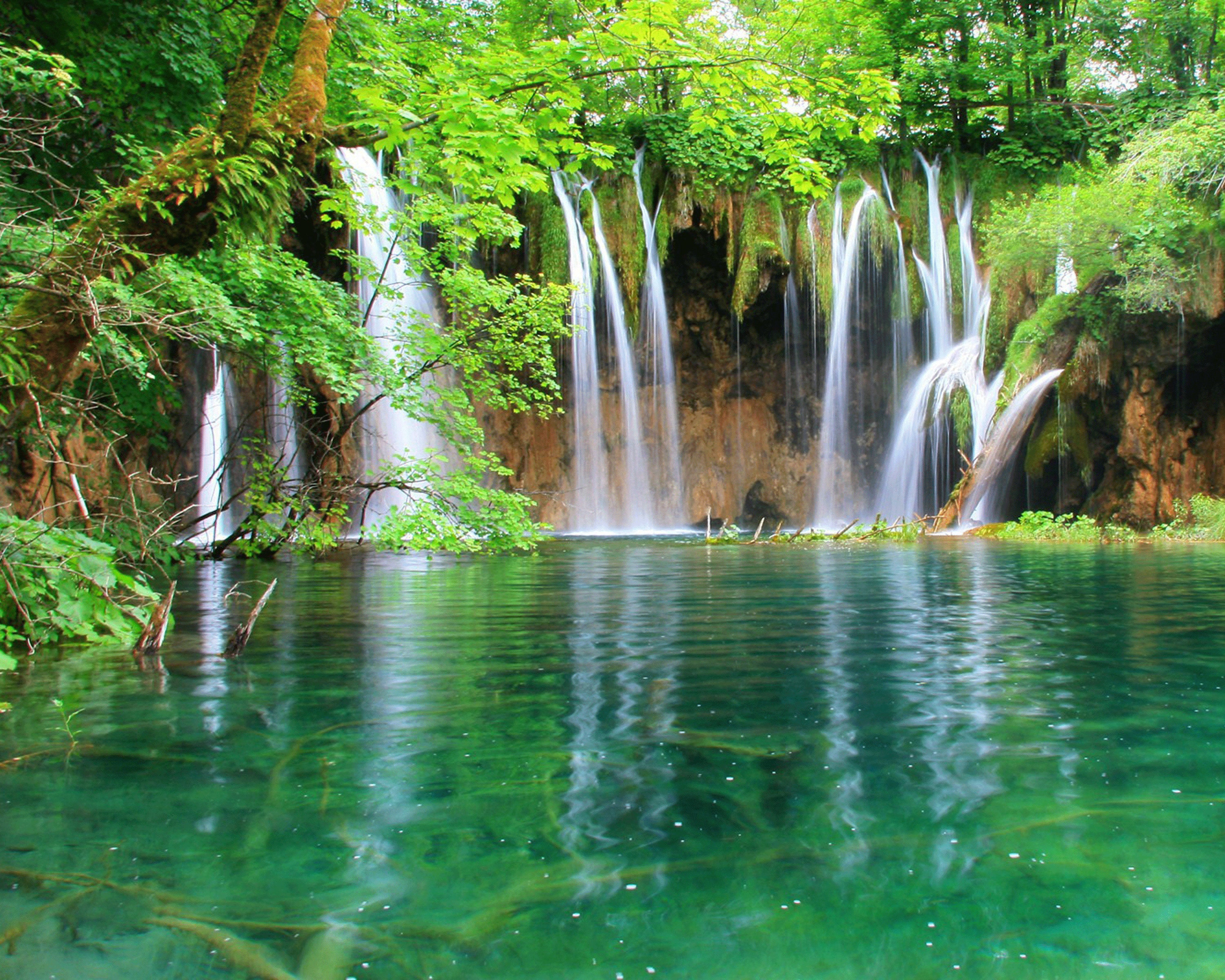 We live nature. Вода в природе. Красота природы водопад. Зеленый водопад. Природа зеленая водопад.