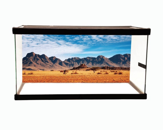 40 Gallon Desert Landscape Tank Background by Petbackdrops