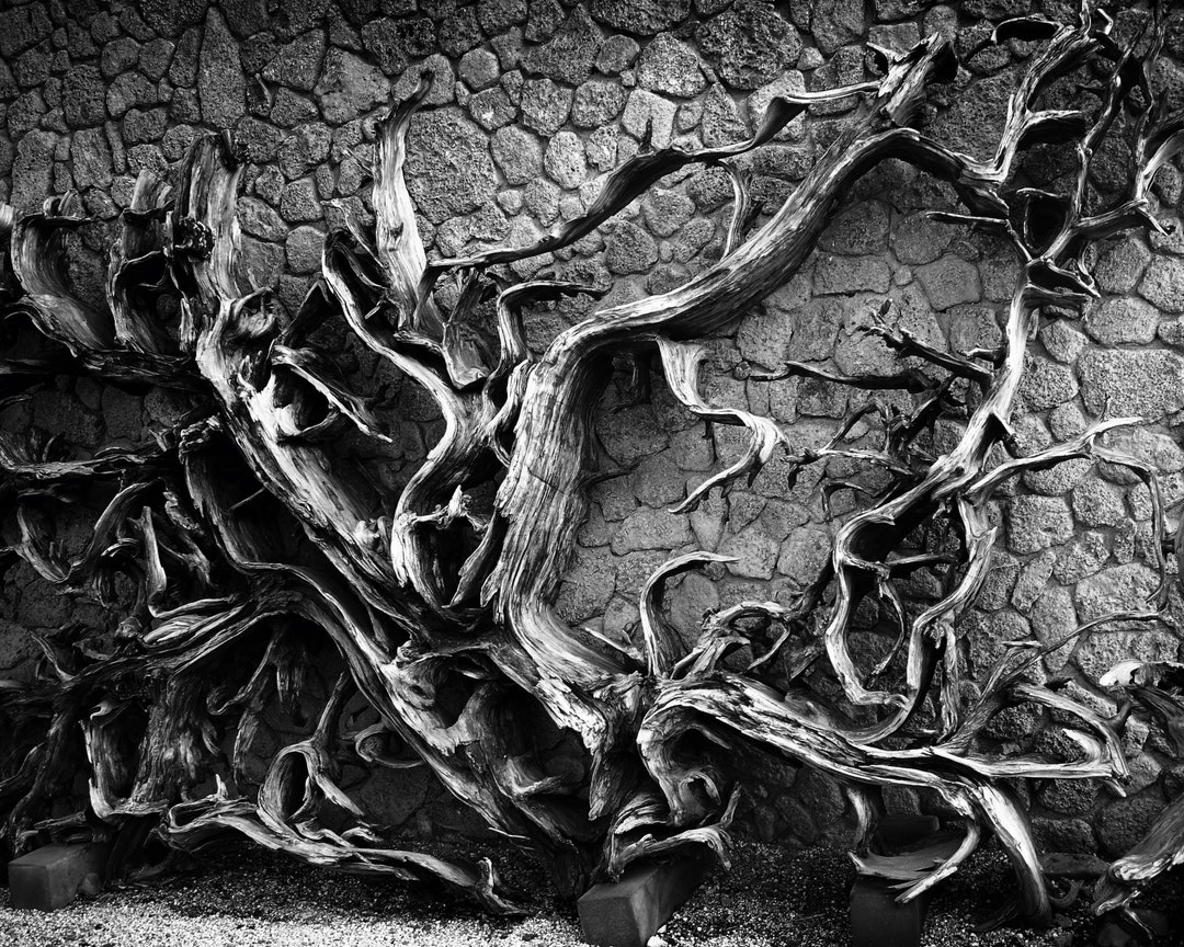 Black and White Stone Wall Background Petbackdrops Wall Background