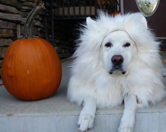 Löwe Mähne Hundekostüm