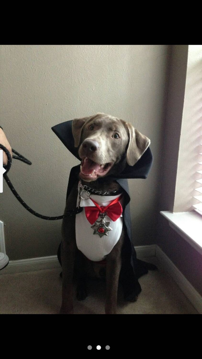 Dracula/Vampire Dog Costume Etsy