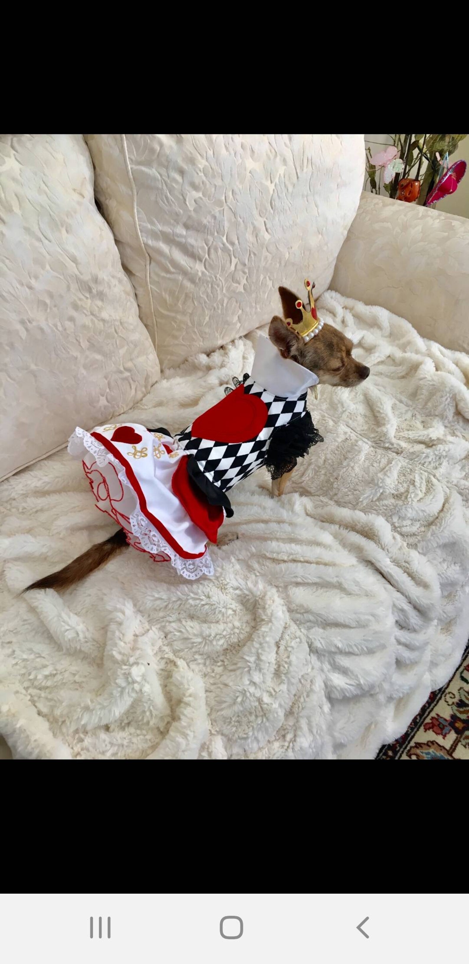 Red Queen Dog Costume Etsy