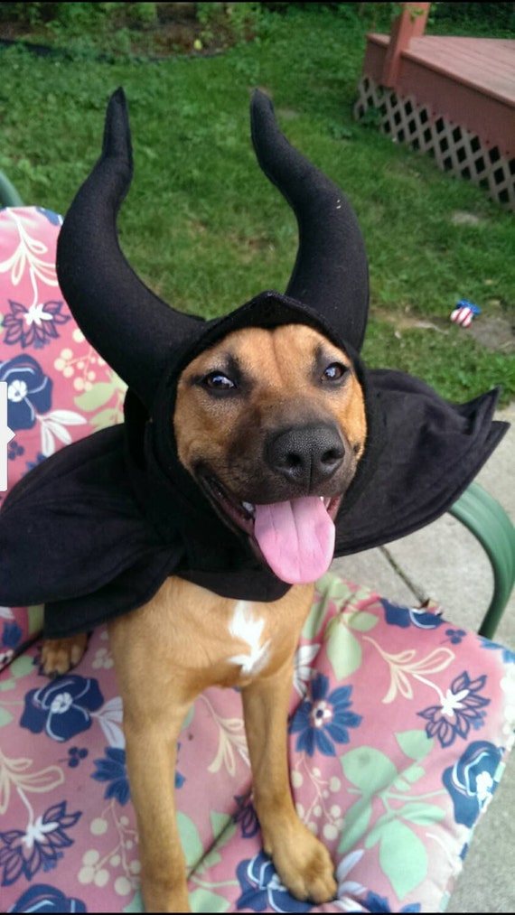 Maleficent Dog Cape and Horns Dog Costume Etsy