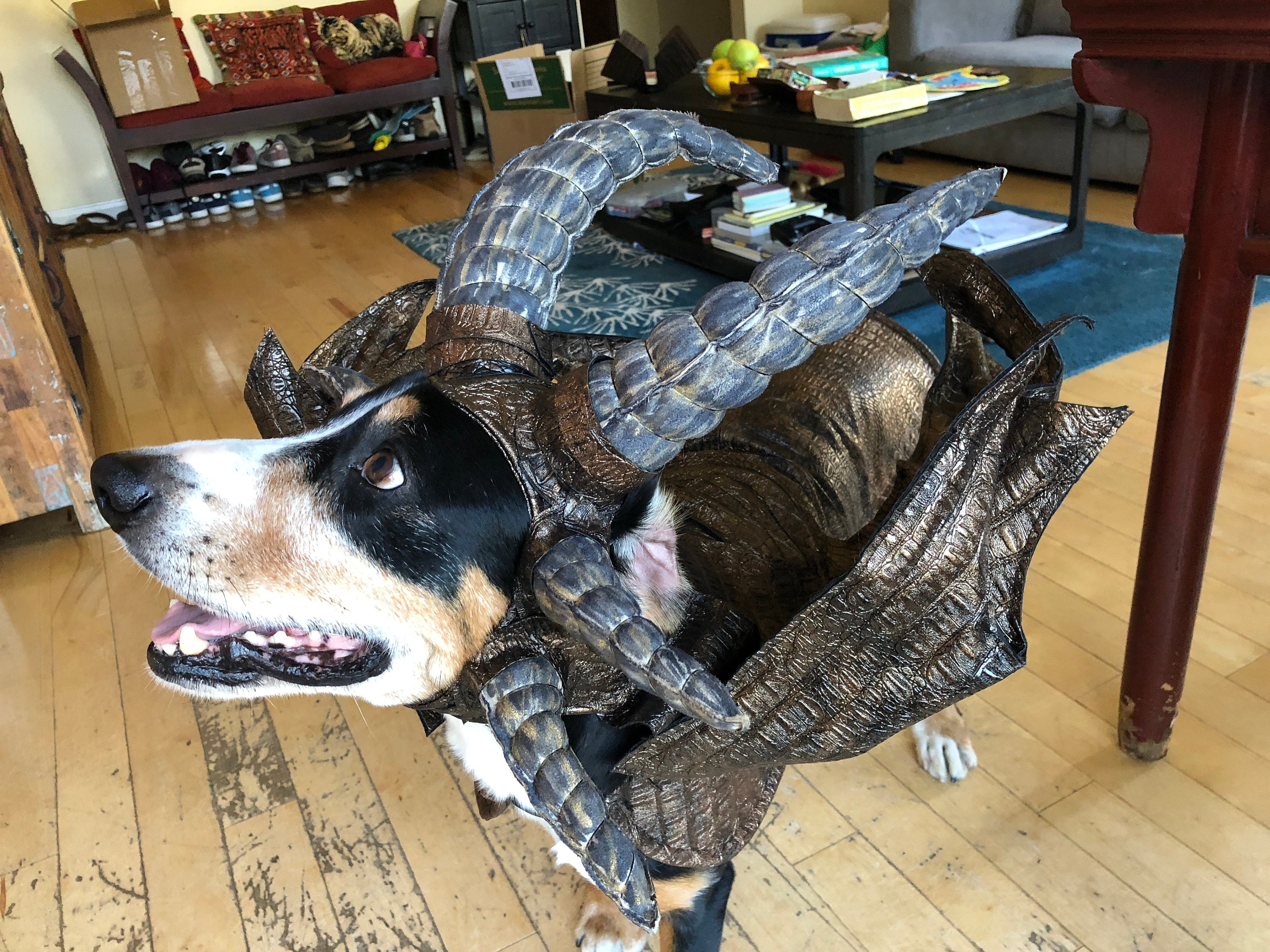 Dragon Dog Costume Etsy
