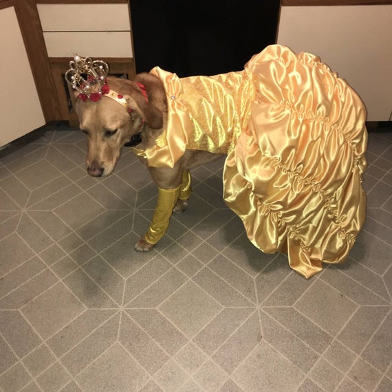Beauty and the Beast/ Belle/princess Dog Dress Etsy