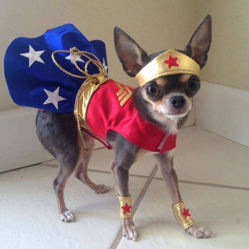 Wonder Woman Dog Costume Etsy