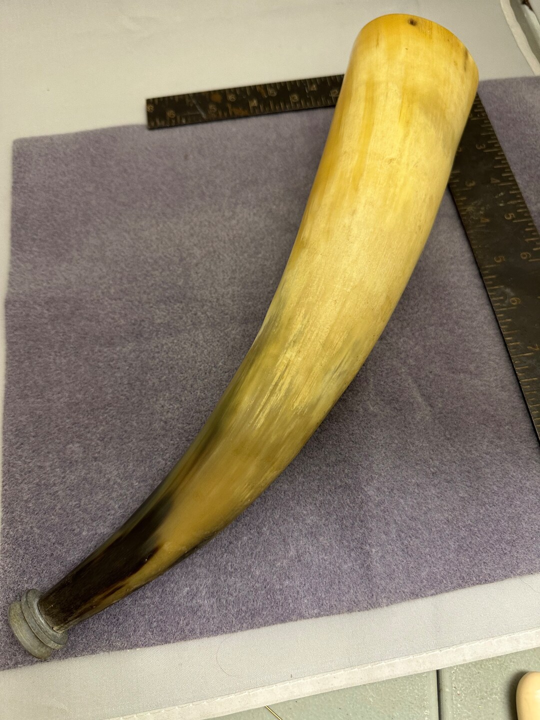 Black Powder Bull Horn - Etsy