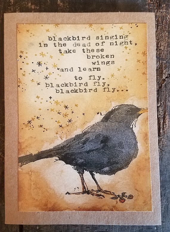 Blackbird Singing In The Dead Of Night Art Card Etsy