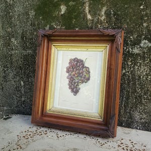 May include: A framed botanical print featuring a cluster of dark purple grapes on a cream-colored background. The artwork is encased in a thick, dark brown wooden frame with carved leaf details at the corners and a thin gold inner border.