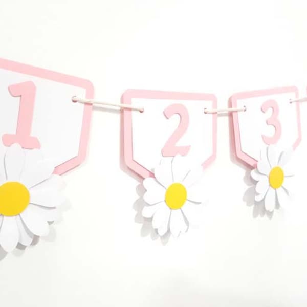 Pure White Daisy Monthly Photo Banner, First Birthday Photo Banner. 12 Month Photo Banner.