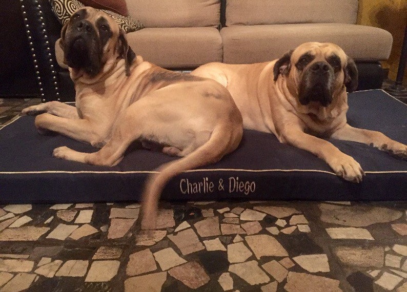 Custom pet bed cover with embroidered name dog cat pig etc Etsy