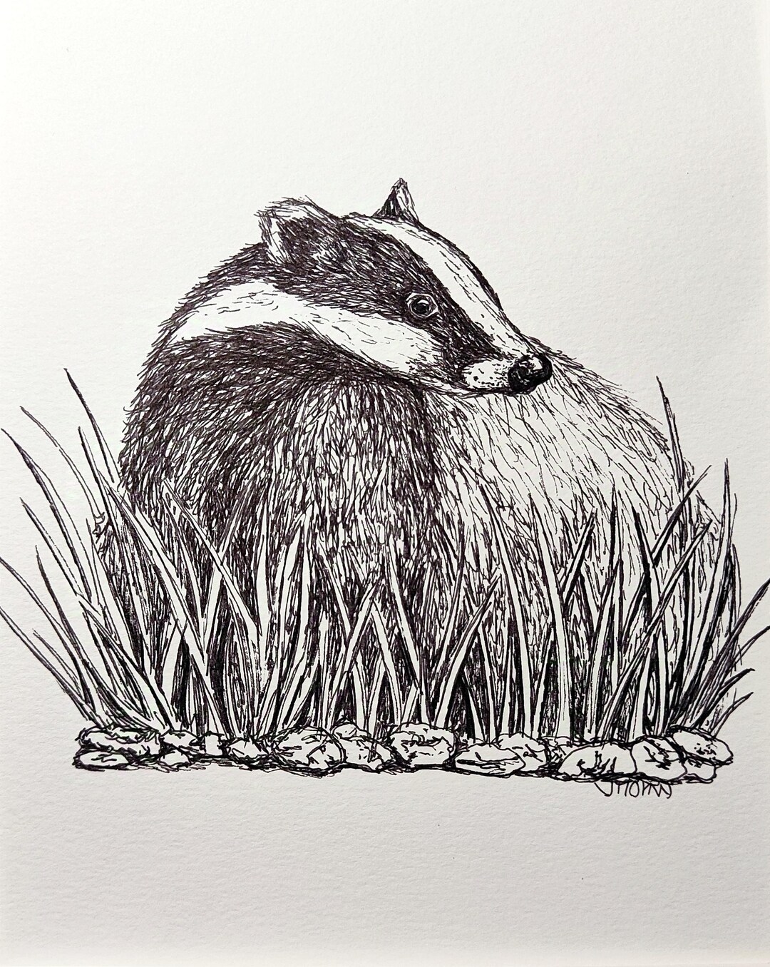 Original Art. Badger Ink Drawing on Watercolour Paper 8 X 10 Inches ...